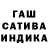 Конопля гибрид Anatoli Ryrikowih