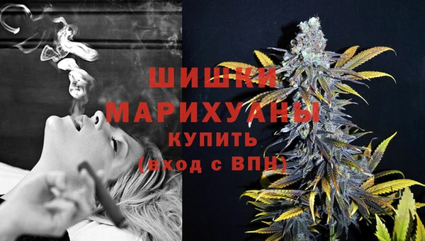 МДПВ Верхний Тагил