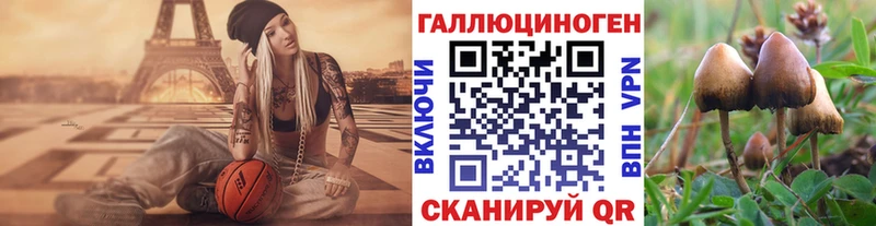 магазин    Домодедово  Галлюциногенные грибы прущие грибы 